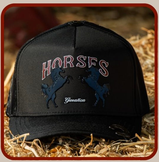 Horsfs