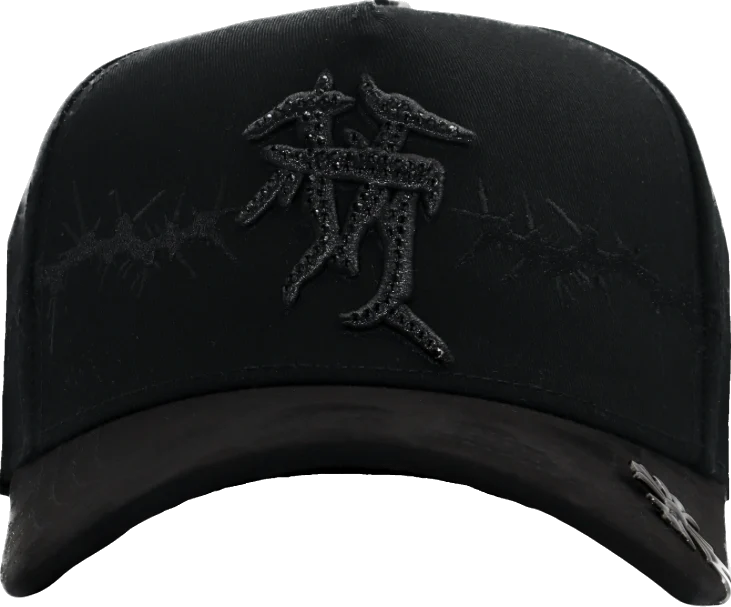 Ace Hats LA CHRIST